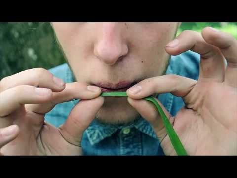 Faderoll presents: Music is everywhere