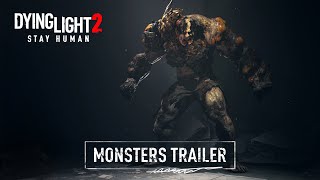 [閒聊] 垂死之光2