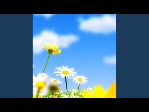 站在草原望北京 (DJ Han Remix)