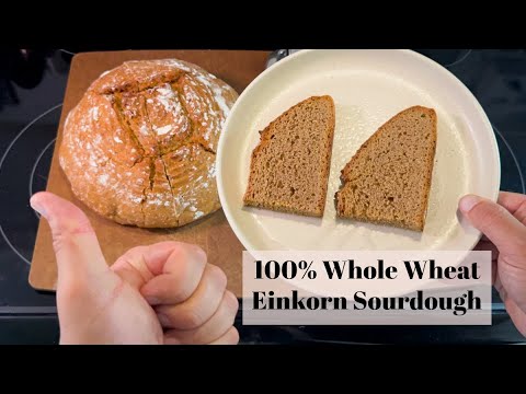 100% Whole Wheat Einkorn Sourdough Boule - Step By Step