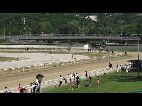 22.5.2022 III Trka - ISANDER - Hipodrom Beograd