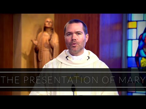 The Presentation of Mary | Homily: Father Timothy Hynes