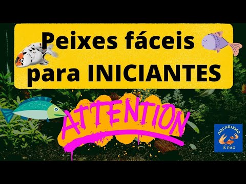 Peixes fáceis de cuidar  para iniciantes ( top 5 ) água doce