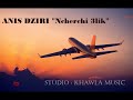 Anis Dziri NCHERCHI 3LIK AUDIO OFFICIELLE 2019