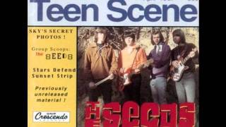The Seeds - Pretty Girl