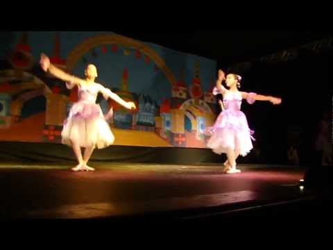 Tainá Rodrigues Roque - Valsa das flores