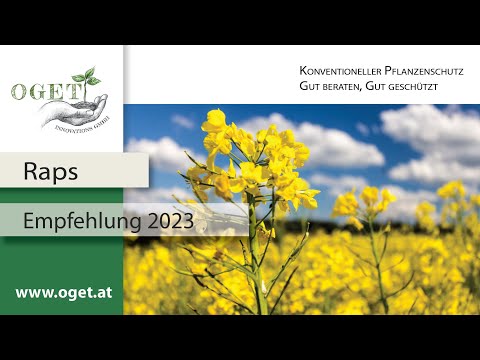 OGET | Beratung 2023 | Raps