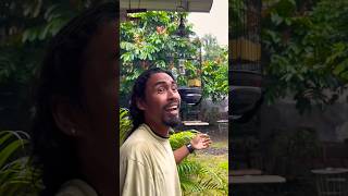 Download lagu Manuk,e Kudanan 🤣🤣🤣🤩 #udinlar #rombongannyeni #lucu #jangkauanluas mp3