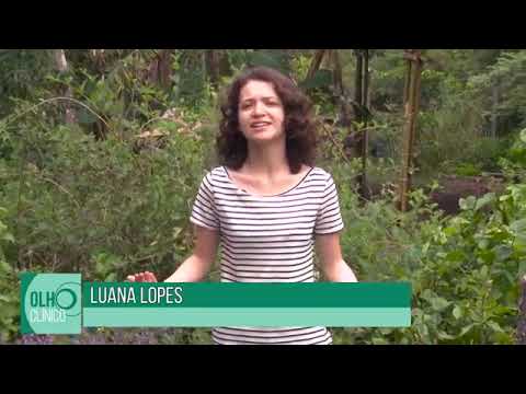 Cura tudo plantas medicinais