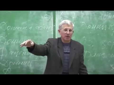 Медонос фацелия, козлятник, синяк - Пермакультура - Земледелие