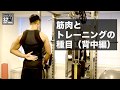 【筋トレ】筋肉の種類とトレーニング（背中）[ S2 BodyMake ]