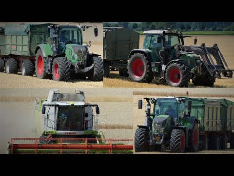 Getreideernte 2022/ Claas Lexion 740/ 3x Fendt 700
