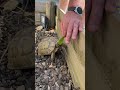 video 0wn5oLTZu8o