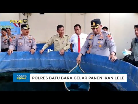 POLRES BATU BARA GELAR PANEN IKAN LELE DUKUNG KETAHANAN PANGAN