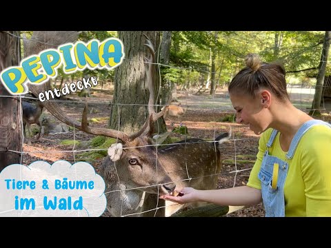 🍁 IM WALD mit Pepina 🔍 Tiere & Bäume entdecken ✂️ Herbstbilder basteln