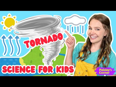 Witness21  2025 05 26