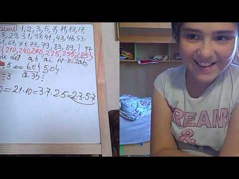 Lectia 1878 -  Clasa 4 - Maria - Numere prime, Divizibilitate - Introducem Puterile