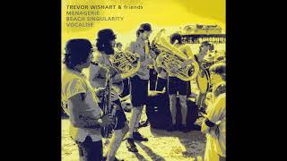 Trevor Wishart & Friends - Menagerie Beach Singularity Vocalise (1979, Sound Collage) (FULL ALBUM)