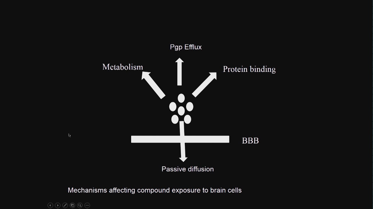 Lecture 12 Drug - BBB