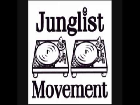 David Boomah - Hot Girls (Aries Remix)