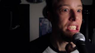 Look What You Made Me Do metal cover by Leo Moracchioli