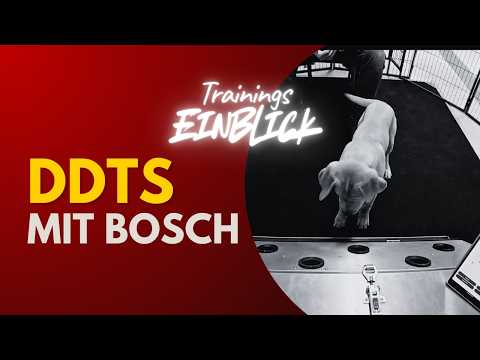 Unglaublicher Fortschritt: Boschs erster Tag am Detection Dock Training