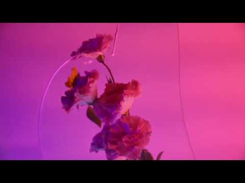 YOULÏ – Lakat ft. Puskás Peti | Official Lyric Video