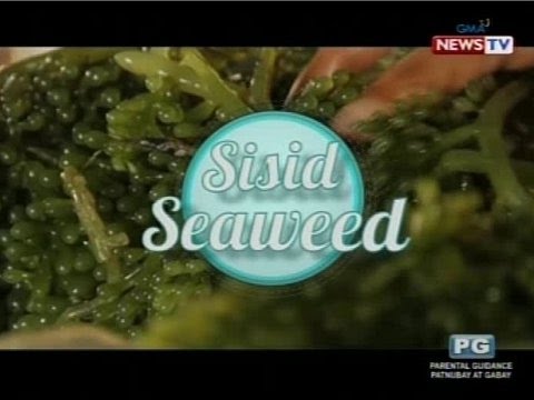 Kung uminom ka ng tea na walang gatas pumayat Slimming may kumapit film