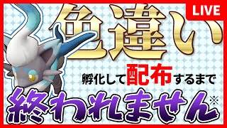 色ヒスイゾロア孵化して配布するまで終われません※【ポケモンSV】