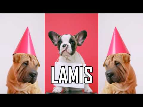 JOYEUX ANNIVERSAIRE LAMIS