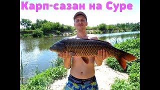 Ловля карпа на сурском водохранилище