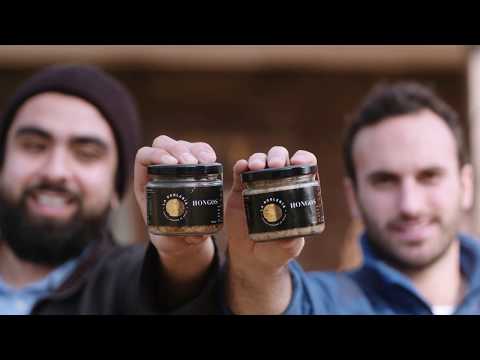 T3.E4 "Historias en Vidrio" La Roblería