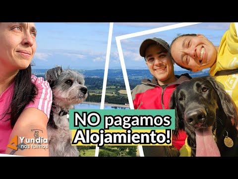 Viajar barato por el mundo cuidando mascotas!🐶  Housesitting: Cómo funciona?