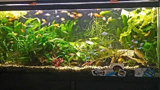 #Fishfam, #YouTubechannel, #Memories Take a walk down memory lane