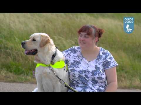 Assistance dog trainer video 1
