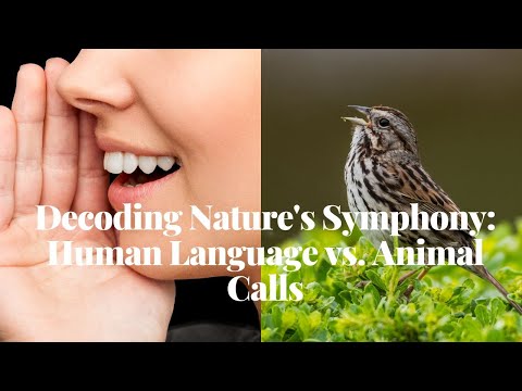 Decoding Nature's Symphony: Human Language vs.  Animal Calls