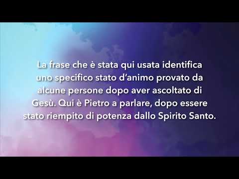 Meditazione Calendario "Parole di Vita" del 7 luglio 2019