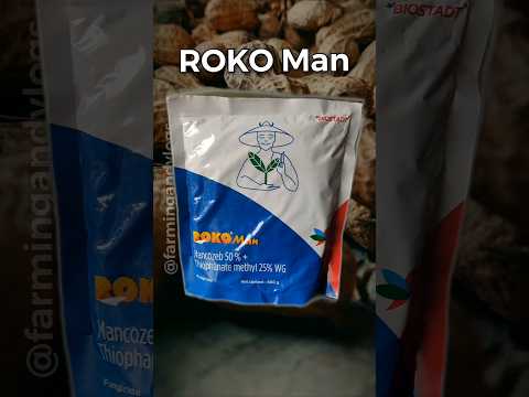 🍄 Roko Man 🍄 Biostadt | Fungicide |#shorts #farming #ytshorts #agriculture #kisan #shortsfeed