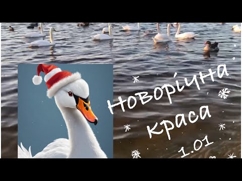 Новорічна краса. 1.01