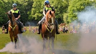 preview picture of video 'Politiepaarden - Demonstratie  Paardenkamp Soest   HD1080p'