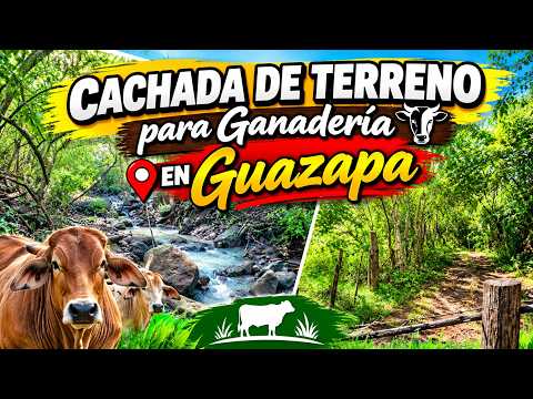 3 MANZANAS ALA VENTA  EN CAMTON LOMA DE RAMOS GUAZAPA 