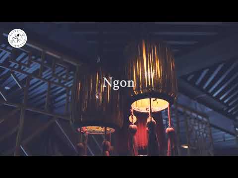 TasteTwelve 2022 Berlin - Restaurant »Ngon«