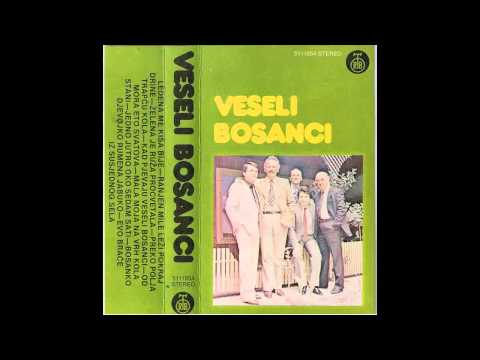 Veseli Bosanci - Ledena me kisa bije - (Audio 1982) HD