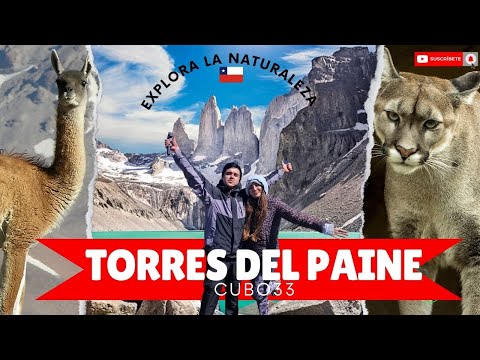 🐆 TORRES DEL PAINE  |🗻 GLACIAR GREY | PATAGONIA CHILENA 🦙 4K 60P