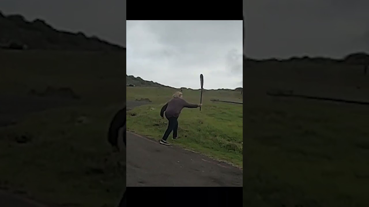 Granny scares off big baboon!