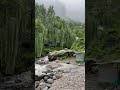 Kahin Pai Pohnchne K Liye Kahin Se Nikalna Zaroori Status Shorts