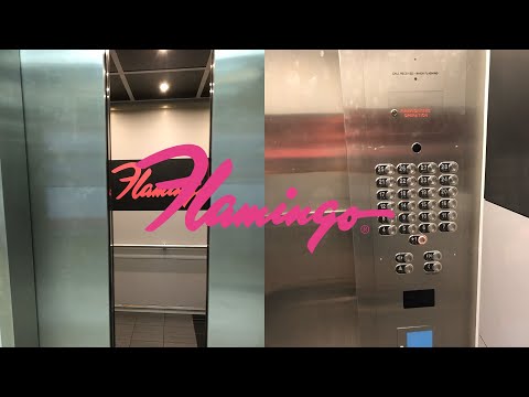 Otis (mb Schindler) Traction elevators @ Flamingo - Las Vegas, NV.