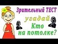 Зрительная иллюзия=) Кто на потолке? ( ОТКРОЙ ВИДЕО на ВЕСЬ ЭКРАН) 