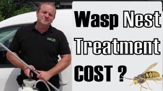 preview picture of video 'Wasp Nest Removal or Treatment Cost - Reading, Newbury, Basingstoke - Berkshire'