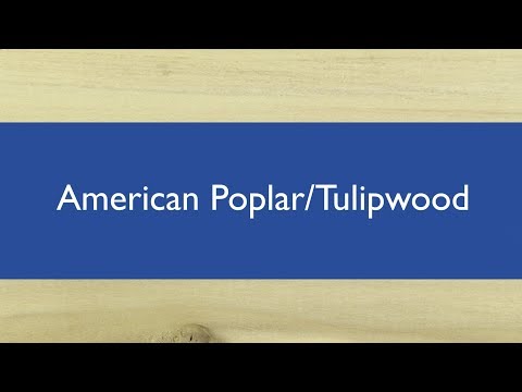 American Poplar Tulipwood | Hardwood Timber